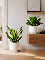 LE TAUCI 10 + 12 Inch Ceramic Plant Pots, Set of 2, White - Image 6