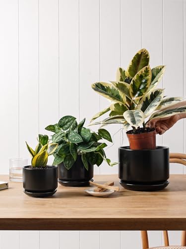 LE TAUCI 6.8 Inch Ceramic Pots for Plants, Indoor Plant Pot, Black - Image 5