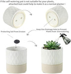 Nihow Ceramic Self Watering Plant Pot for Indoor Plants, 6 Inch,Cream White - Image 3