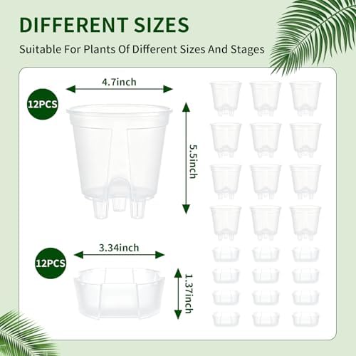 Cdd's Path 5 Inch Clear Self Watering Pots Set, 12 Pack Naked Root Planter with Deep Water Tank, Large Drainage Holes, Reservoir & Air Pipes for Indoor Outdoor Plants, Flowers, Seedlings - Image 3