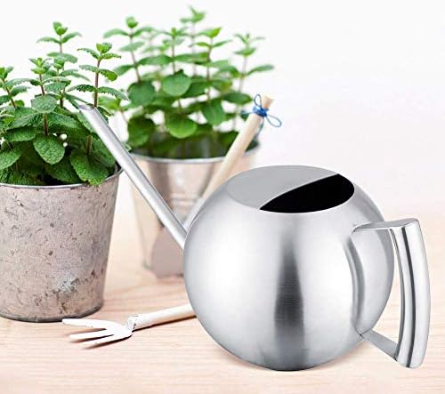 Stainless Steel Watering Can, Brushed Finish Long Spout Precise Watering for Indoor Plants Home Silver 1000ml 35oz Lightweight Open Top Ergonomic Handle Modern Design - Image 5