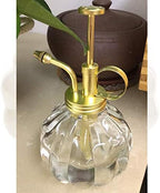 Vintage Style Glass Pumpkin Bottle Sprayer Watering Can Plant Mister with Brass Sprayer Head (Transparent) - Image 2