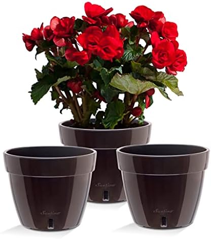 Santino AST 7.9 Inch Self Watering Planter Black-Gold/Black - Set of 3 for Indoor Plants - Premium Quality Plastic Pot with Water Level Indicator for All House Herbs, African Violets and Dahlias by Smart+Planters