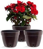 Santino AST 7.9 Inch Self Watering Planter Black-Gold/Black - Set of 3 for Indoor Plants - Premium Quality Plastic Pot with Water Level Indicator for All House Herbs, African Violets and Dahlias by Smart+Planters