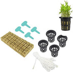 Rockwool Cubes, Good Water Absorption Soilless Cultivation Starter Plugs with Self Watering Cotton Wick Cord for Indoor Plant Growing - Image 4