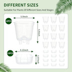 Cdd's Path 6 Inch Clear Self Watering Pots Set, 12 Pack Naked Root Planter with Deep Water Tank, Large Drainage Holes, Reservoir & Air Pipes for Indoor Outdoor Plants, Flowers, Seedlings - Image 3