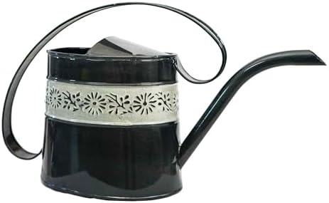 Headwind Willow Decorative Watering Can, 0.5 Gallon Small Metal Watering Can for Indoor Plants & Garden, Vintage Galvanized Steel, Long Spout, Indoor & Outdoor – Black Pearl by Headwind