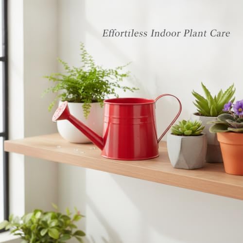 Metal Watering Can, 1 Liter Iron Vessel for Indoor Plants and Houseplants (1 PC) - Image 2