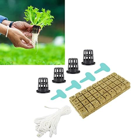 Rockwool Cubes, Good Water Absorption Soilless Cultivation Starter Plugs with Self Watering Cotton Wick Cord for Indoor Plant Growing - Image 3