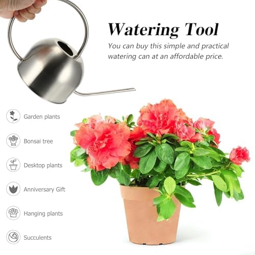 Abaodam Stainless Steel Watering Can with Long Spout 1.5l for Indoor and Outdoor Plants Garden Tool Sturdy Plant Watering Bottle for Flower Care - Image 6