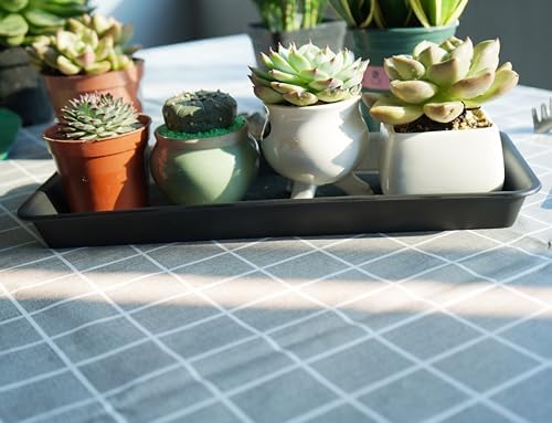 VUWEZ 2 Pack of Plastic Plant Tray Saucer Rectangular 20 21 inch, Planter Trays Saucers for Indoors Outdoor, Plant Water Drip Tray for Flower Pot Planter, Windowsill Trays (8.5 X 21'', Black) - Image 3