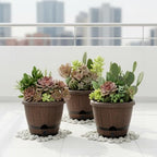 Sun-E 10" Self-Watering Whiskey Barrel Planter 3 Pack for Indoor Outdoor - Image 6