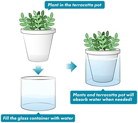 D'vine Dev Self-Watering White Terracotta Planter, 4 in, 3-Pack, 37-Z-A-2-T - Image 6