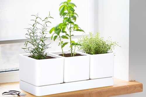 D'vine Dev Plastic Herb Garden Planter Set, White, 76-V-A-1 - Image 4