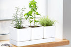 D'vine Dev Plastic Herb Garden Planter Set, White, 76-V-A-1 - Image 4
