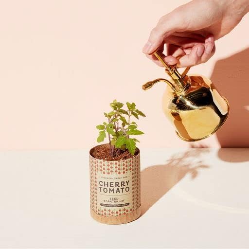 Modern Sprout Plant Mister - 8 oz Indoor Watering Can & Sprayer - Brass - Image 6