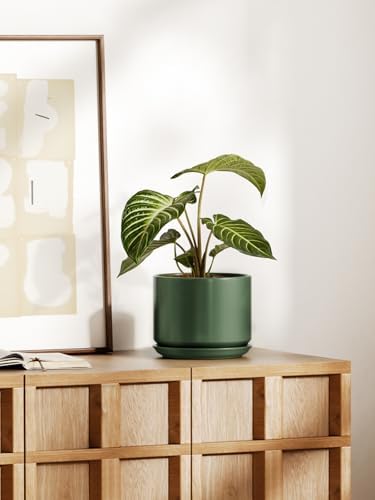 LE TAUCI 8 Inch Plant Pot, Ceramic Pots for Plants, Forest Green - Image 2