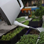 Watering Can Plastic Watering Pot with Sprinkler Head Long Spout Can for House Plant Flower Garden Tool - Image 3