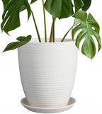 8 Inch Ceramic Planter Pot Round Plant Pot with Drainage Hole and Saucer Modern Flower Pot for Indoor Outdoor Plants White by EPFamily