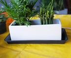 VUWEZ 4 Pack of Plastic Plant Tray Saucer Rectangular 16 inch, Plant Trays Saucers for Indoors Outdoor, Plant Water Drip Tray for Flower Pot Planter, Windowsill Plant Tray (7.0 X 16.1'', Black) - Image 5
