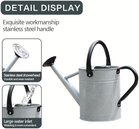 Metal Watering Can, 1 Gallon for Outdoor Garden Plants,SilverB - Image 6