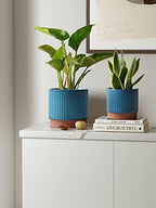 LE TAUCI Ceramic Pots for Plants, 8+6.7+5.5 Inch Plant Pots Indoor, Flower Pot with Drainage Holes, Medium Cylinder Planters for Indoor House Plants, Set of 3, Blue - Image 2