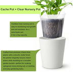6 inch self Watering Pot with Clear Nursery Pot Inside,White,6 Pack - Image 4