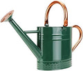 1 Gallon Metal Watering Can with Removable Spout, Nice Galvanized Steel Water Can with Embossed Design for Indoor and Outdoor Plants by Megawodar