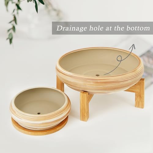 Succulent Pots, Large Plant Pots Ceramic Bonsai Pots with Drainage Tray - Image 3