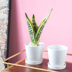 BUYMAX 5in Ceramic Flower Pots Set of 4 Plant Pot with Drainage Hole - Image 6