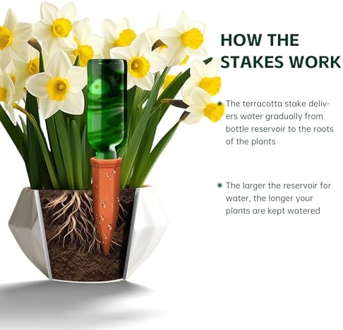 Soilagua Large Terracotta Watering Spikes with Lids, Automatic Plant Waterer Outdoor | Indoor, Vacation Friendly Clay Plant Watering Devices System, Slow Release Self Watering Planter Insert, 6 Pack - Image 4