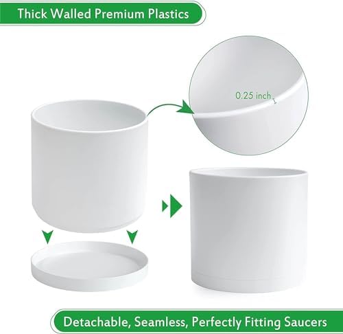 D'vine Dev 2-Pack White Plastic Planters with Saucers, 8 in, 74-Z-M-1 - Image 6