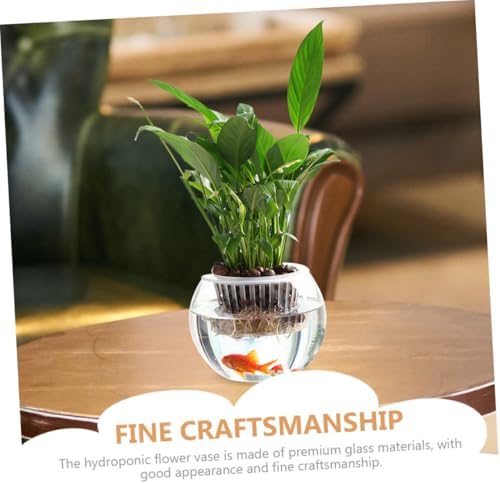 BESTonZON Hydroponic Glass Vase Set 20pcs Round Globe Glass Flower Container Decorative Planter Pots for Indoor Plant Propagation and Home Table Centerpiece - Image 3