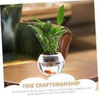 BESTonZON Hydroponic Glass Vase Set 20pcs Round Globe Glass Flower Container Decorative Planter Pots for Indoor Plant Propagation and Home Table Centerpiece - Image 3