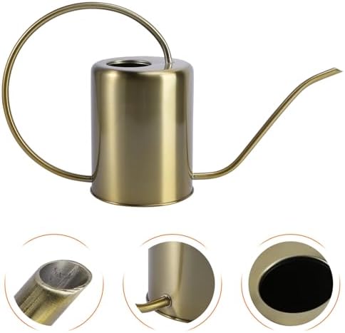 Stainless Steel Garden Watering Pot 2000ml with Long Spout - Image 2