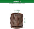 D'vine Dev Beaded Ceramic Pot with Saucer, 6 in, Stone Taupe, 27-C-X-L - Image 3