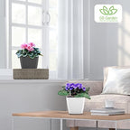 Self Watering Planters for Indoor Plants, 5.2 Inch 6 Pack Square Plastic Plant Pots with Water Level Indicator & Drainage System for African Violet Herbs Succulents - White - Image 5
