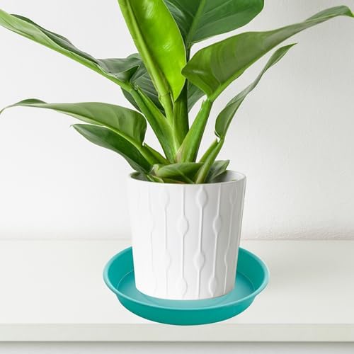 2 Pack of 20 21 inch Plant Saucer Round, Deep Plant Saucers for Pots, Heavy Duty Plastic Plant Drip Tray for Indoors Outdoor, Bird Bath Bowls, Plant Trays for Planter 19-22" (21 inch, Teal) - Image 5