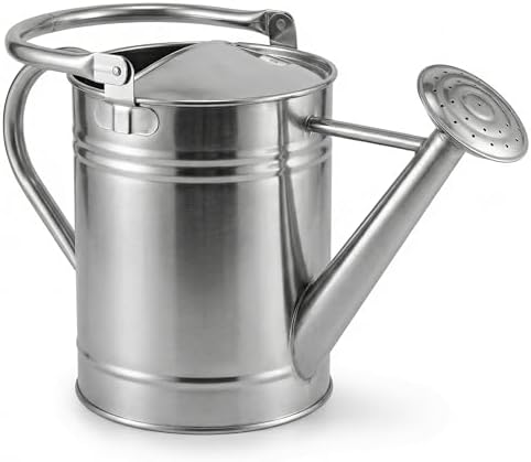 Gardenised 1-Gallon Steel Watering Can with Precision Long Spout for Controlled and Shower Watering Ideal for Indoor & Outdoor Plants Flowers & Houseplants, Silver by Gardenised