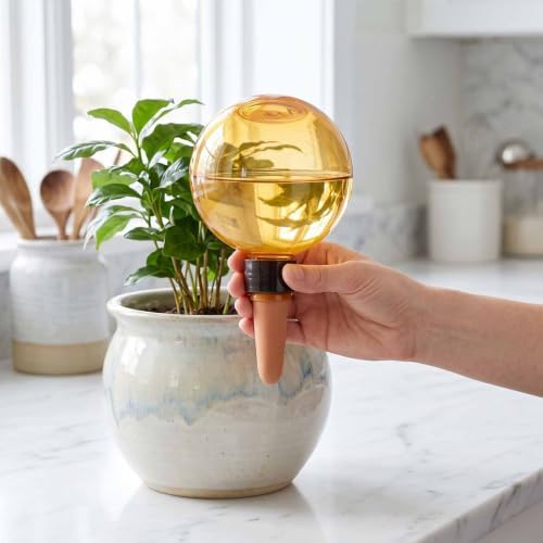 Automatic Plant Watering Globes 500ML (Orange) Top Fill Drip System for - Image 3