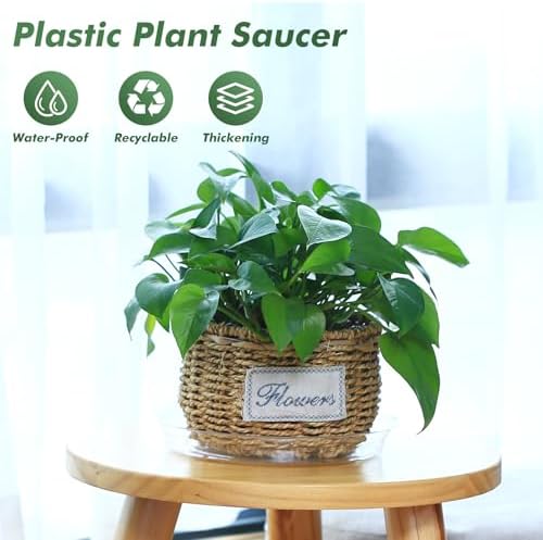60 Pack 12 Inch Plant Saucer Clear Plant Saucers for Outdoors Plants Drip Trays Extra Large Pot Saucer No Holes Pot Saucers Planter Trays for Outdoor Plants Bulk Plastic Tray for Flower, Potted Tree - Image 2