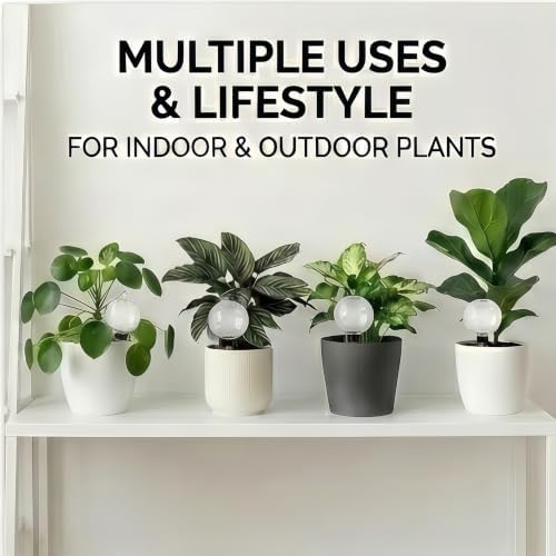 6Pcs Plant Self Watering Globes, 16.9oz Insert Top Fill to 2 Weeks Watering - Image 5