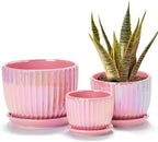 Pink Plant Pots，Ceramic Planters with Drainage Holes and Saucers Set of 3 by TonSin