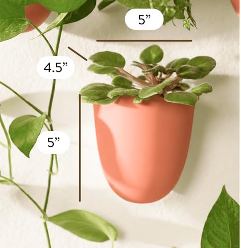 Make Good PlantPod Luxe - Self-Watering Wall Planters (Set of 6, Terracotta) - Easy to Water and Install - Lightweight - Design Your Own Vertical Garden - Wall Planters for Indoor Plants - Image 2