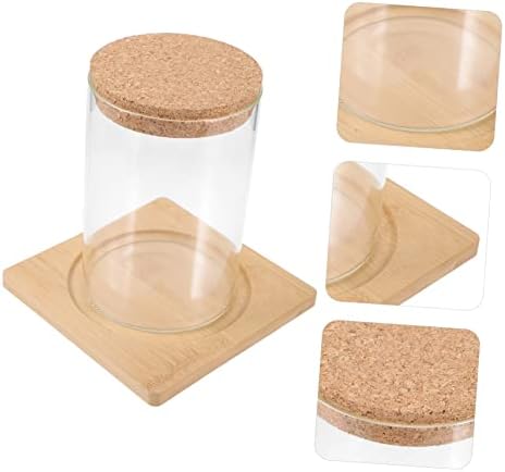 Cabilock Moss Eco Bottle Plant Propagation Terrarium Glass Succulent Jar Micro Landscape Container Watering Globes - Image 5