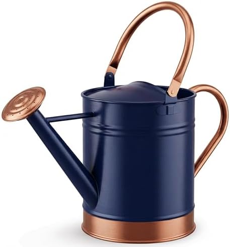 Gardenised 1-Gallon Steel Watering Can with Precision Long Spout for Controlled and Shower Watering Ideal for Indoor & Outdoor Plants Flowers & Houseplants, Blue by Gardenised
