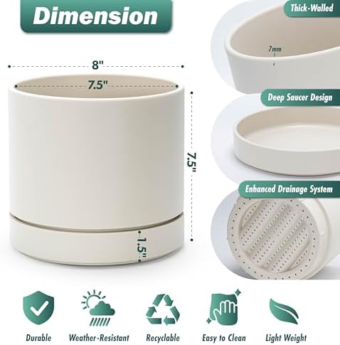 Phoenix Vine 8 Inch Planter Pot with Drainage Hole & Saucer, Deep Water Catch Tray, Straight Cylindrical Round Pot for Plants, Oatmeal, Pack of 1, 23-E-T-1 - Image 3