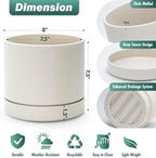 Phoenix Vine 8 Inch Planter Pot with Drainage Hole & Saucer, Deep Water Catch Tray, Straight Cylindrical Round Pot for Plants, Oatmeal, Pack of 1, 23-E-T-1 - Image 3