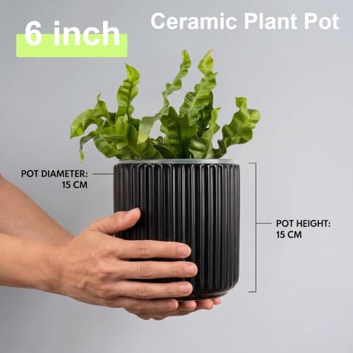 Orchid Pot,Ceramic Plant Pot with Clear Orchid Pot,6 inch,Black - Image 3