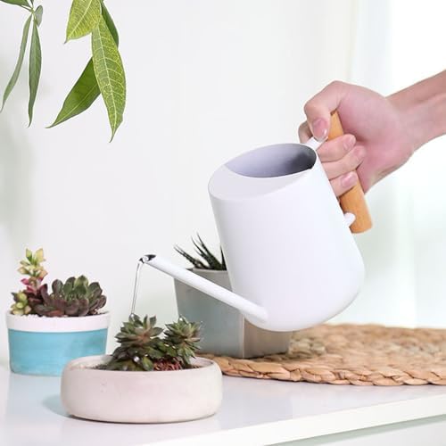 Indoor Watering Can with Long Spout, 16oz Metal Watering Can Plant Watering Can Mini Watering Can with Wood Handle for Indoor Plants, Bonsai Outdoor Garden Flower (White) - Image 5